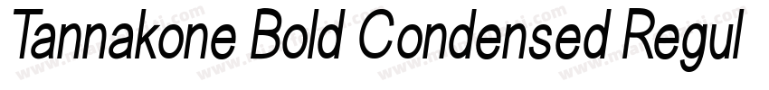 Tannakone Bold Condensed Regula字体转换